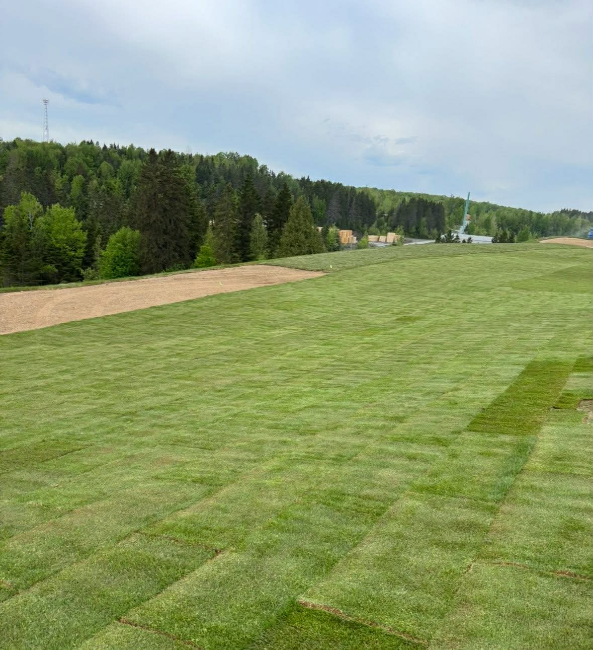 Commercial Golf